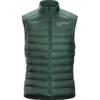 Arcteryx Men's Cerium LT Vest